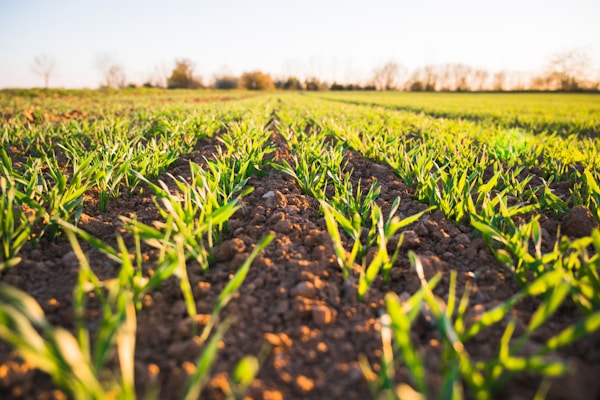 Soluciones agrícolas